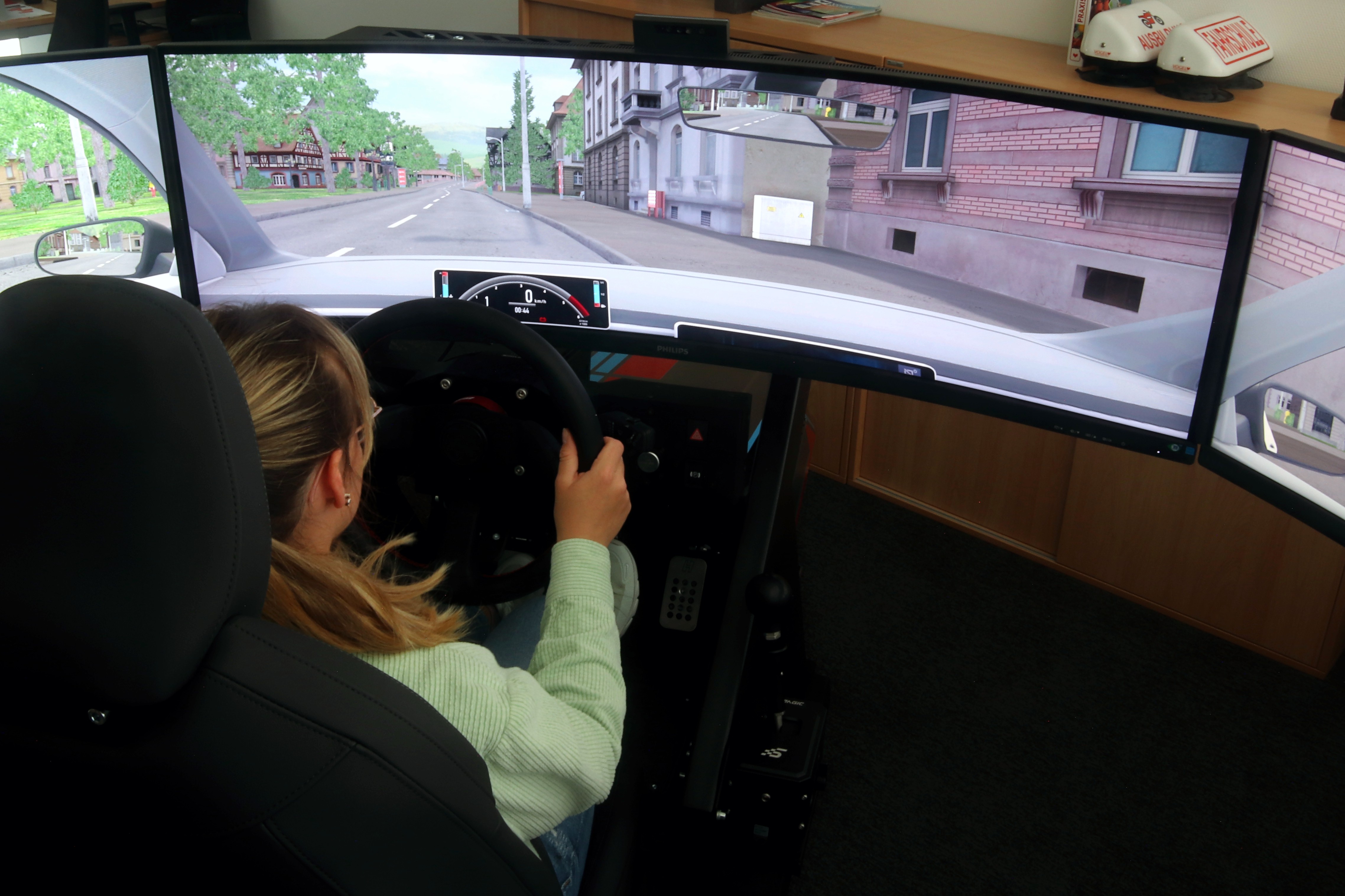 Fahrsimulator
